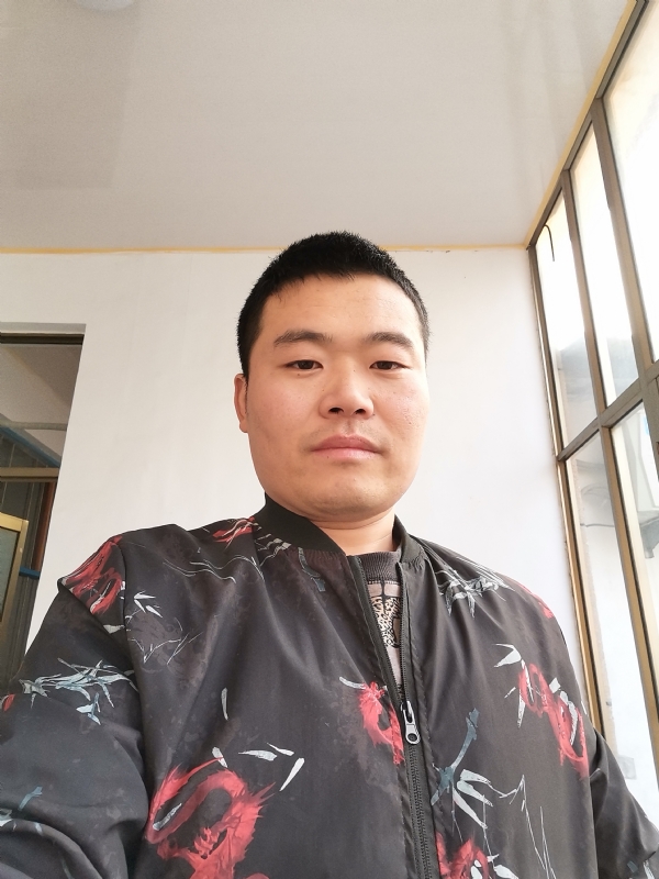 会飞的猪的第一张照片--长乐相亲网